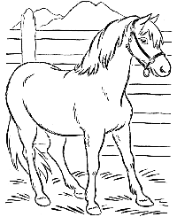 Horse
